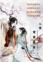 宠妾盛世入侵 宠妾盛世入侵