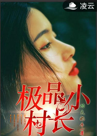 极品小村长 极品小村长